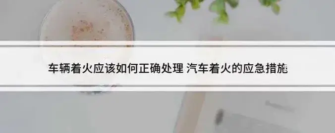 8.webp