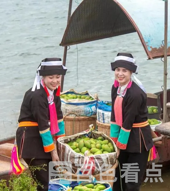 QQ截图20220625025246.webp
