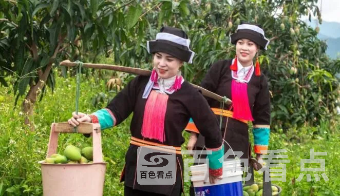 QQ截图20220625025233.webp
