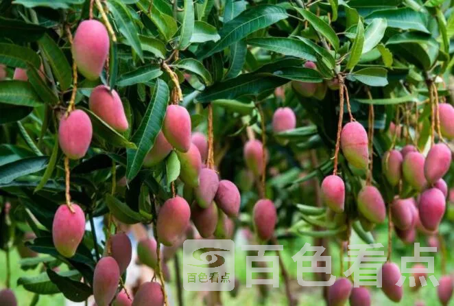 QQ截图20220625025258.webp