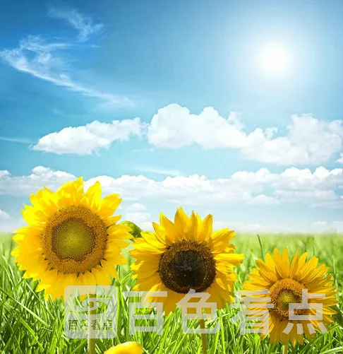 000.webp