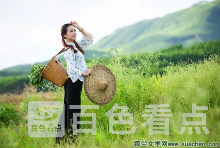 140PB204-14Bok.webp