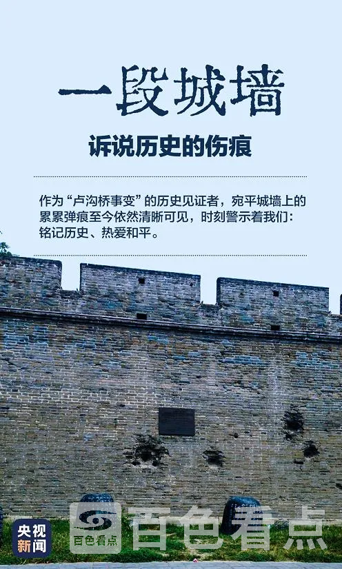 8.webp
