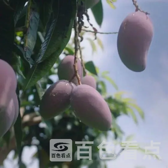 4.webp