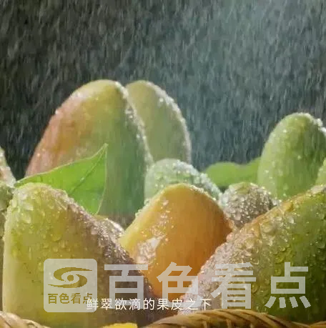 5.webp