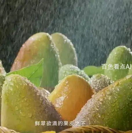 5.webp