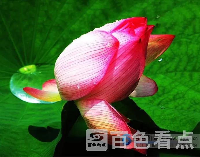 18.webp