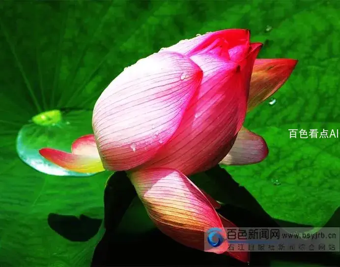 18.webp