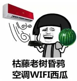 5.webp