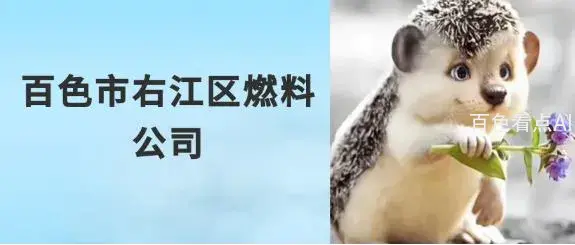 4.webp