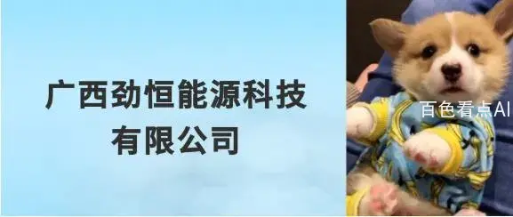 11.webp