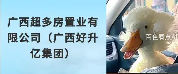 10.webp