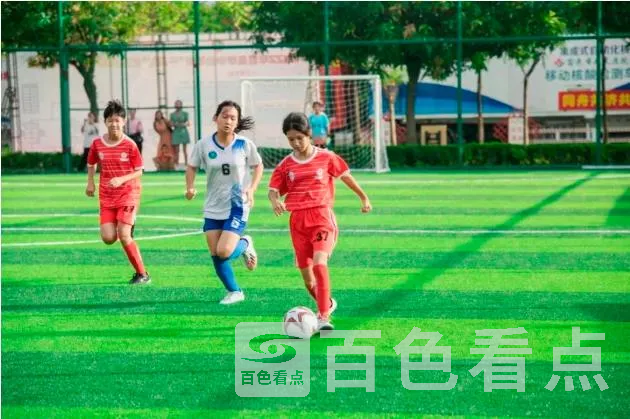 7.webp