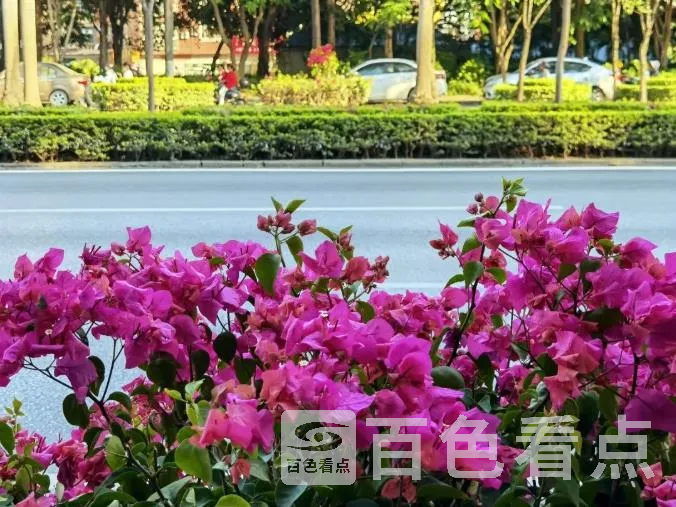 5.webp