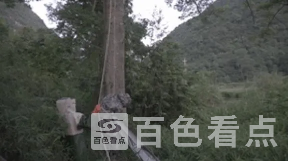 3.webp