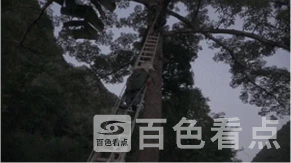 5.webp