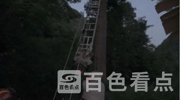 6.webp