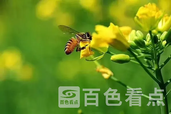G1583150092299.webp