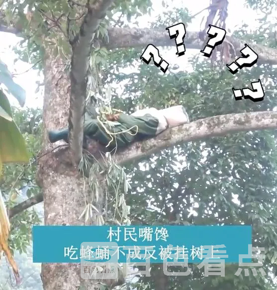 QQ截图20220811140821.webp