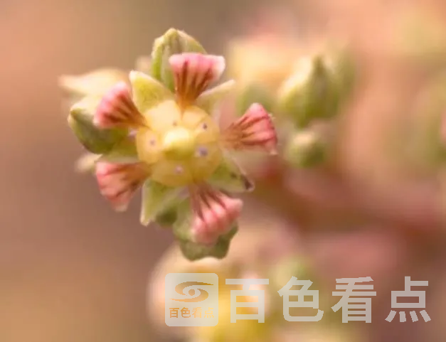 3.webp