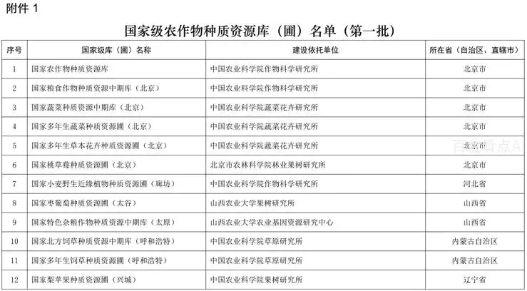 5.webp