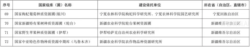 10.webp