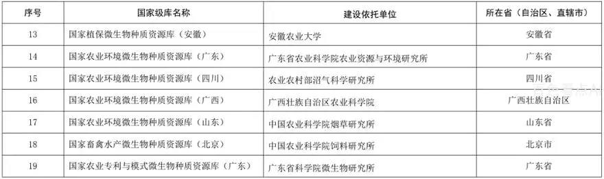 12.webp