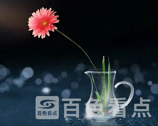 142547rsadel05s4cddpbv.webp