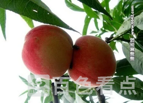 50d5c887t70ca34bce221.webp