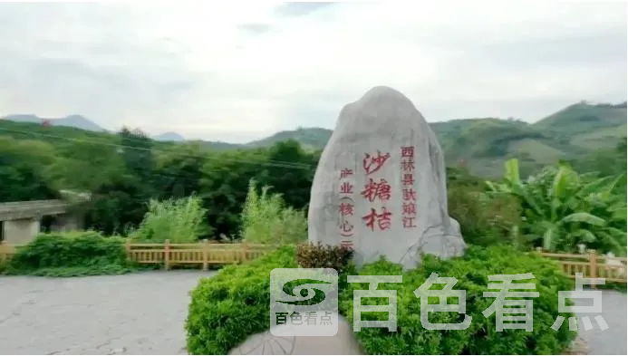 洗5.webp