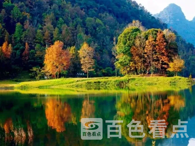 4.webp