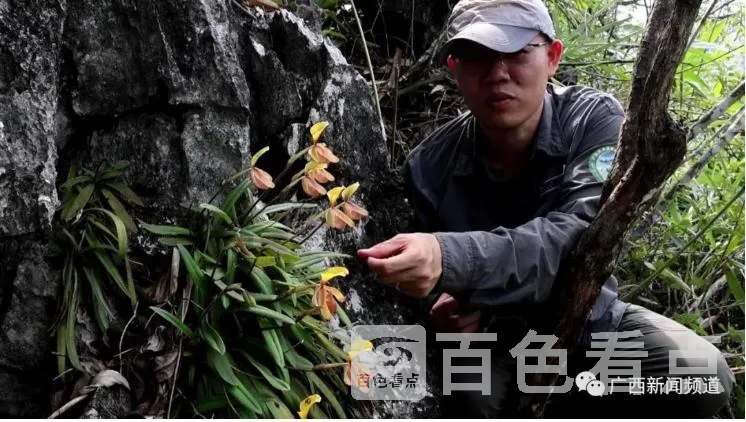花2.webp