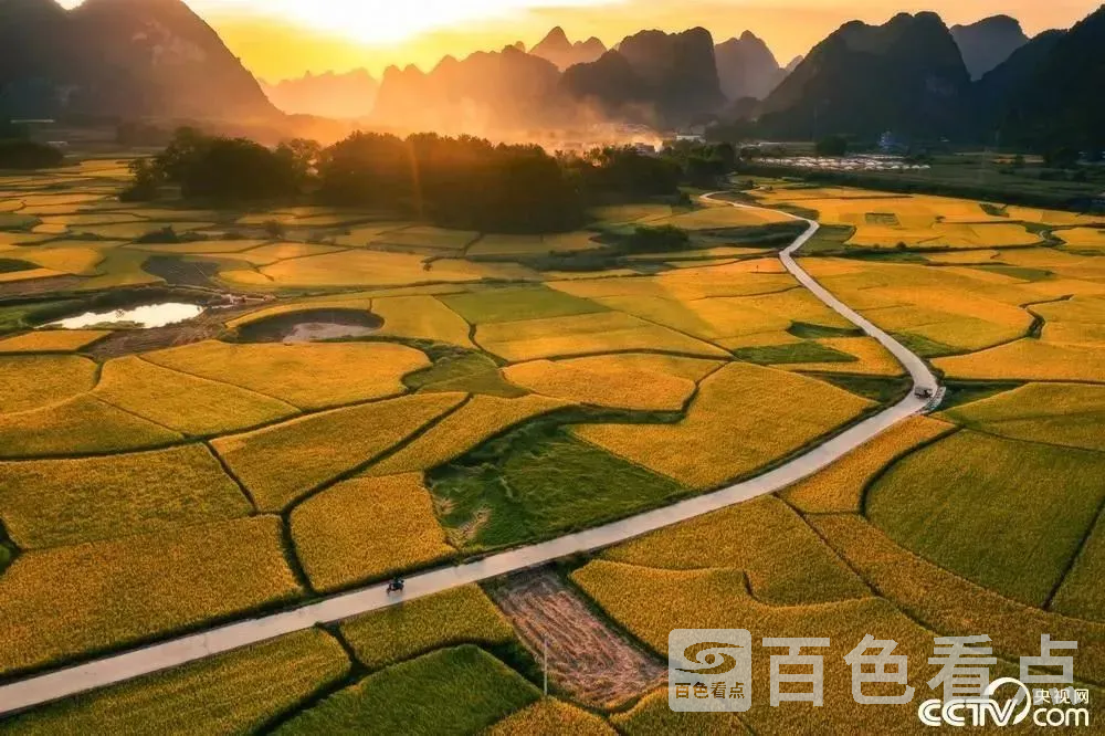 微信图片_20221024163652.webp
