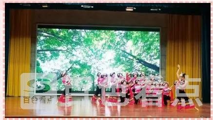t4.webp