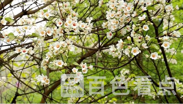 6.webp