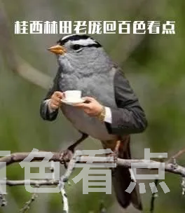 002144w0l0ntnmcn2q2avyokok.webp