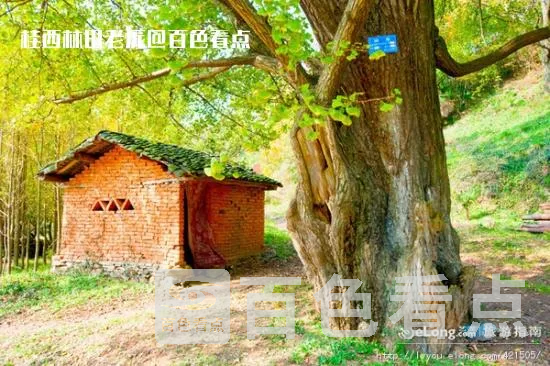 175321zd6cdvk8k19c1wyk.webp.thumb.webp