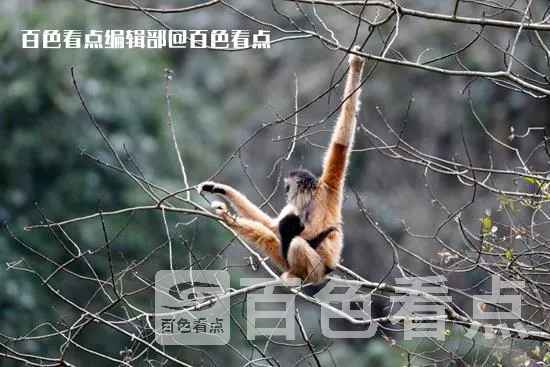 3.webp