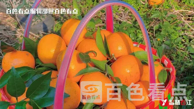 6.webp