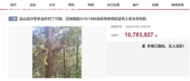 1.webp