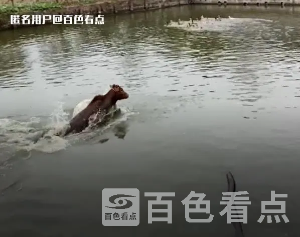 微信截图_20230109091336.webp