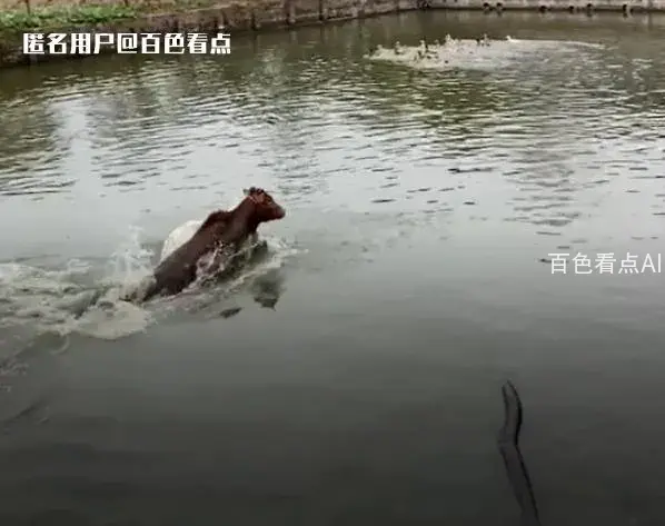 微信截图_20230109091336.webp