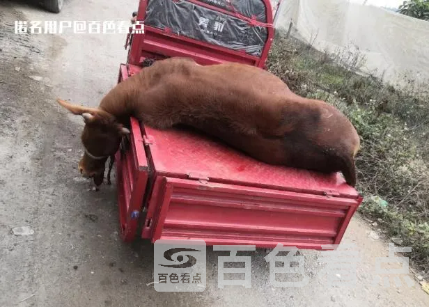 微信截图_20230109091350.webp