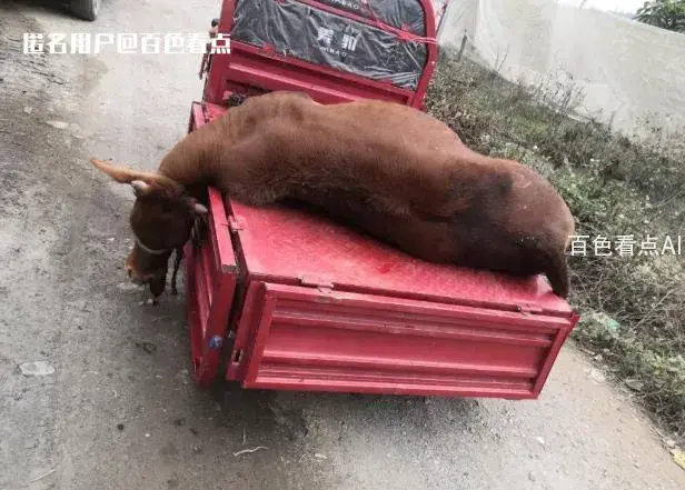 微信截图_20230109091350.webp