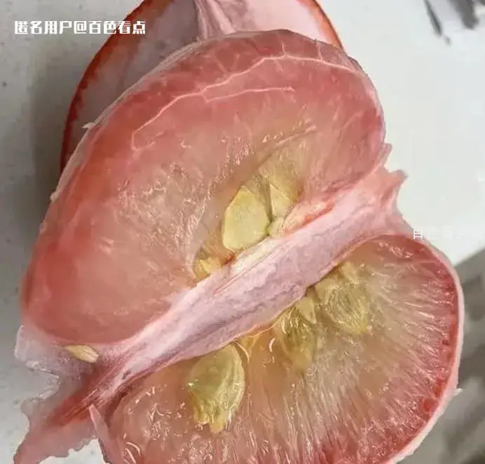 微信截图_20230111091409.webp