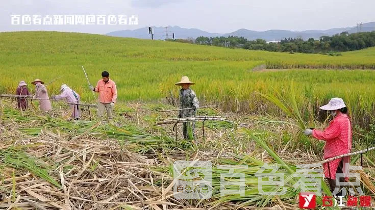 微信截图_20230114101039.webp
