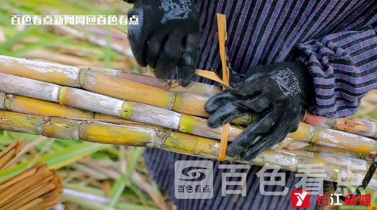 微信截图_20230114101055.webp