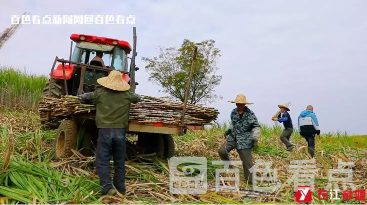 微信截图_20230114101103.webp