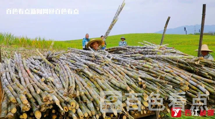 微信截图_20230114101110.webp
