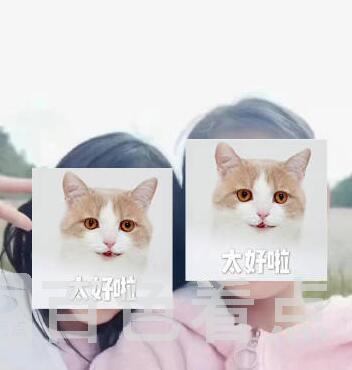 QQ截图20230210164402.jpg